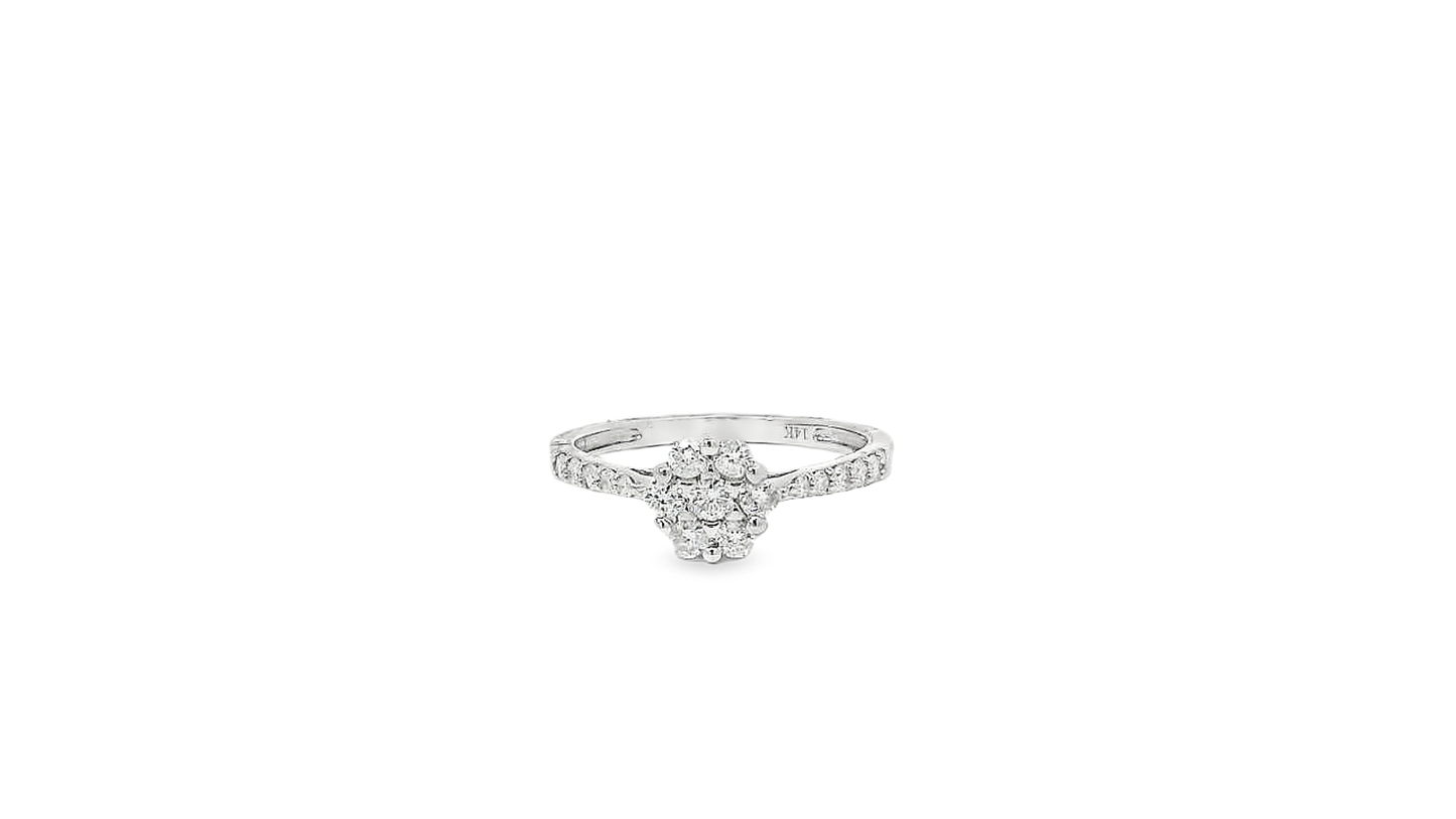 Classic Design Rings