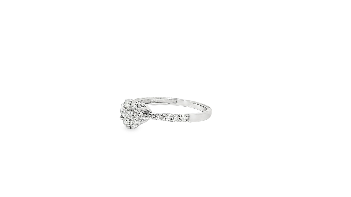 Classic Design Rings