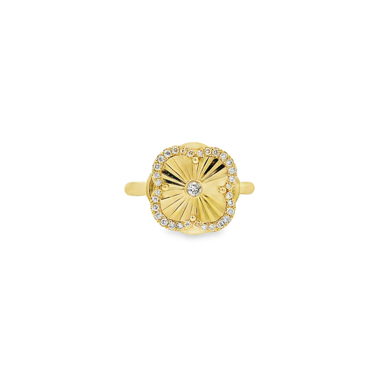 Designer Spinner Rings