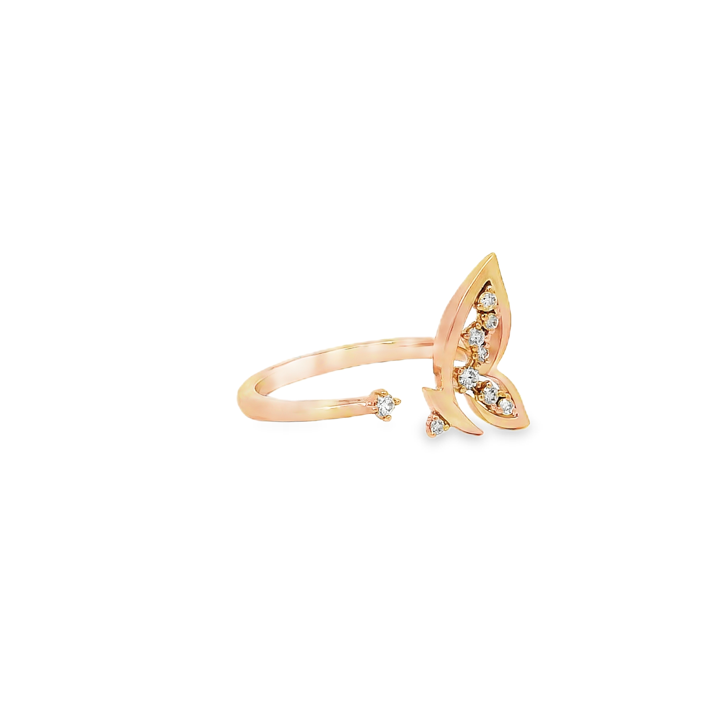 Designer Rings