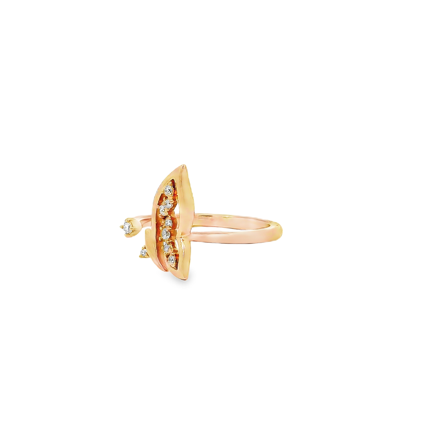 Designer Rings