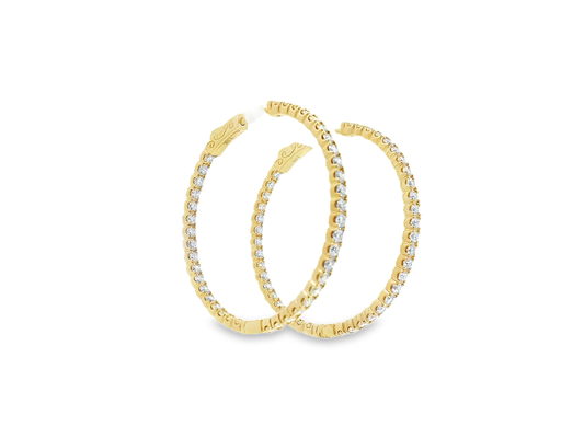 Elegant Hoop Earrings