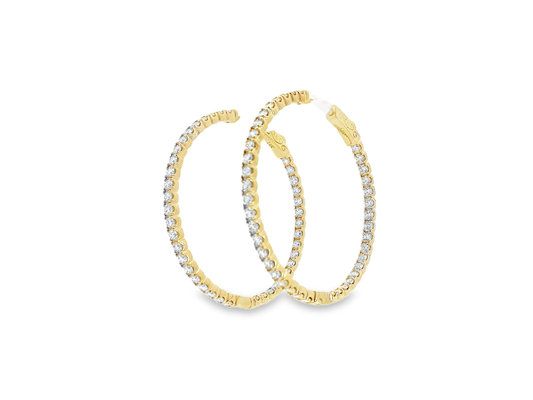 Elegant Hoop Earrings
