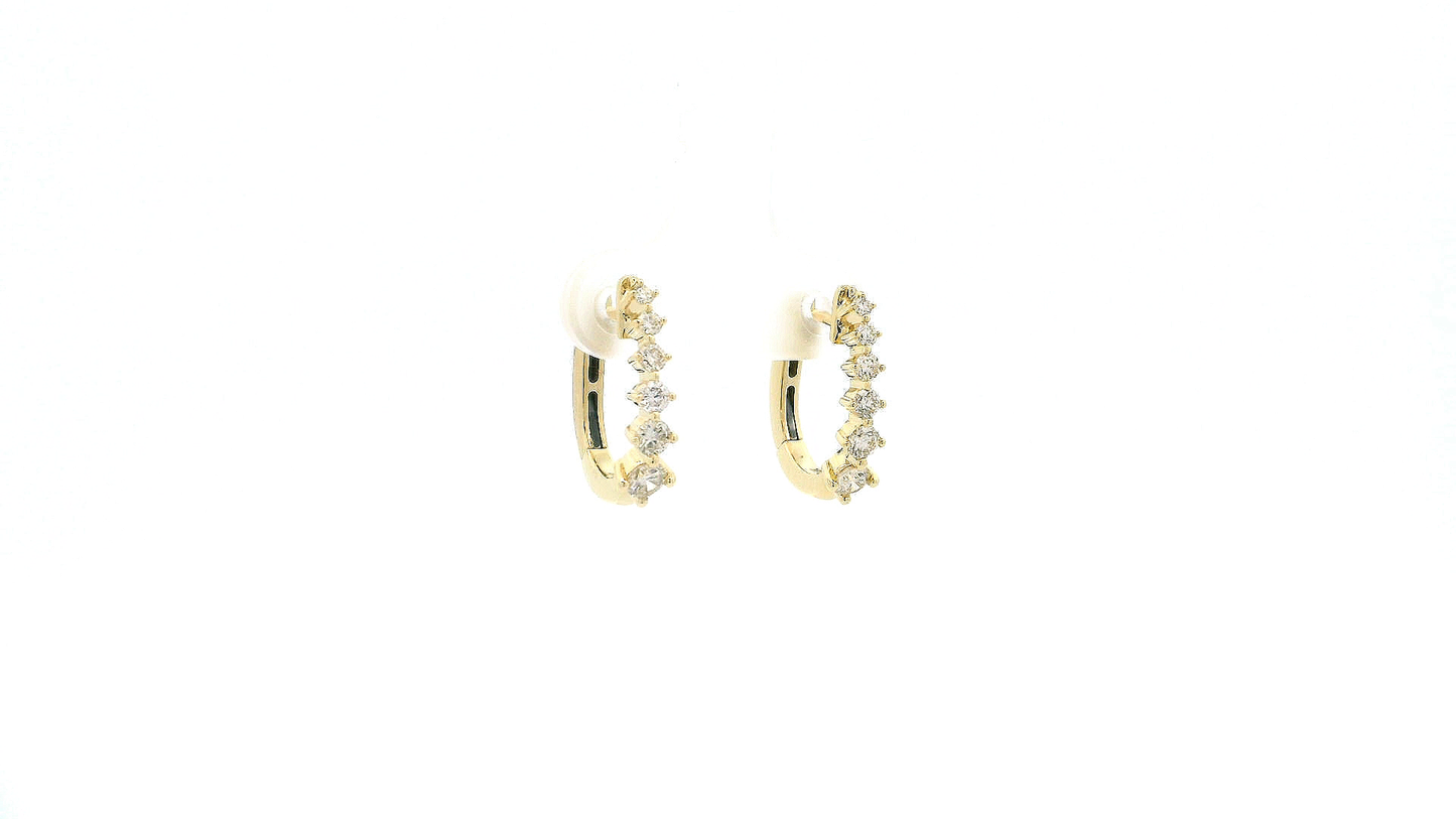 Elegant Gold and Diamond Earrings