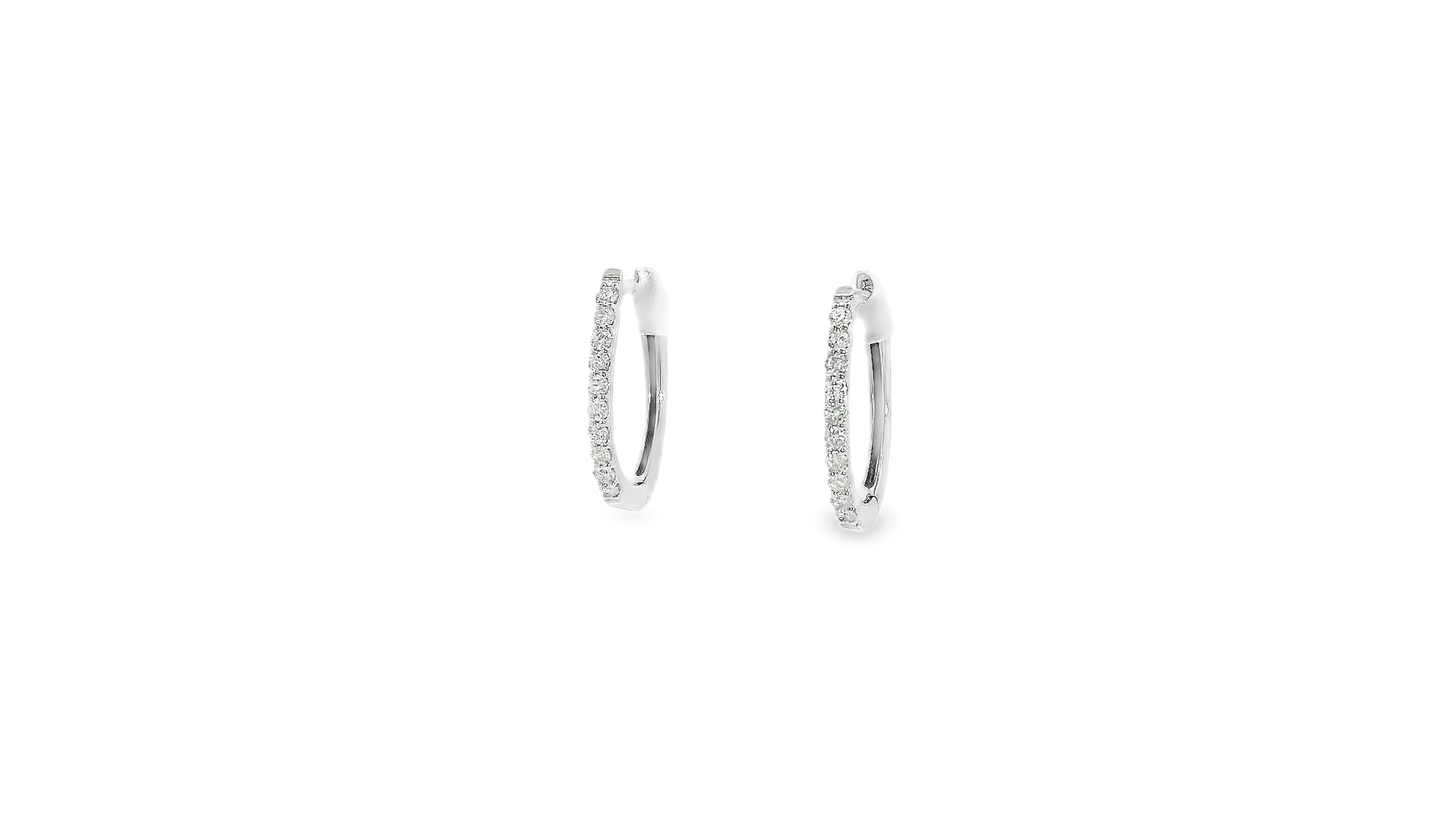 Elegant Hoop Earrings
