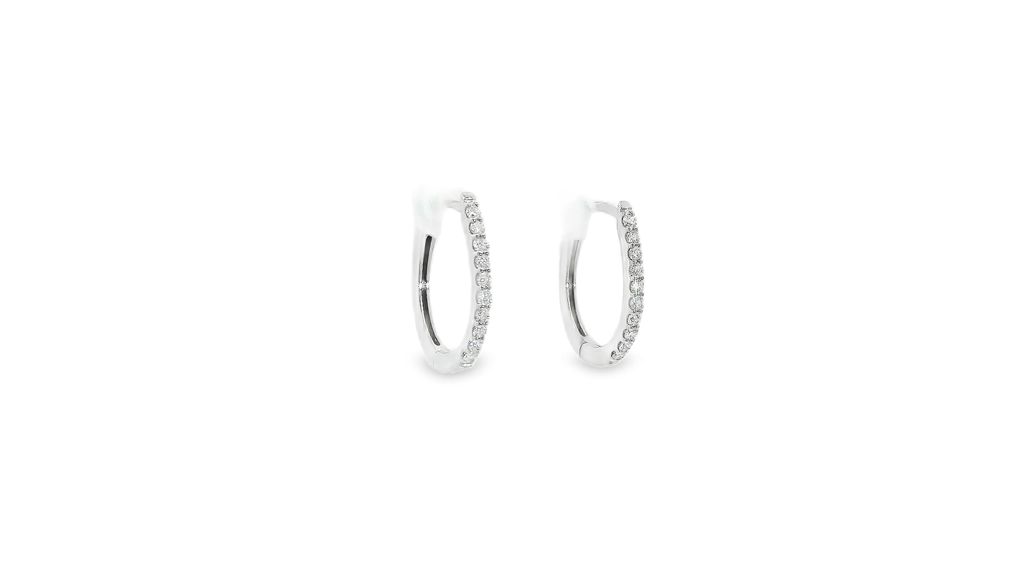 Elegant Hoop Earrings