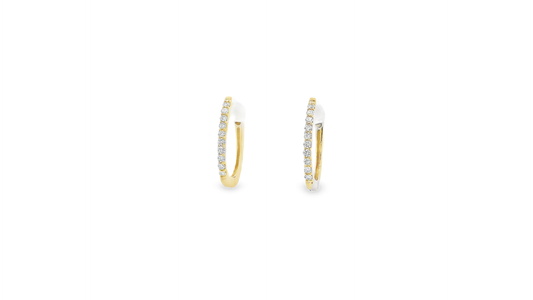 Elegant Hoop Earrings