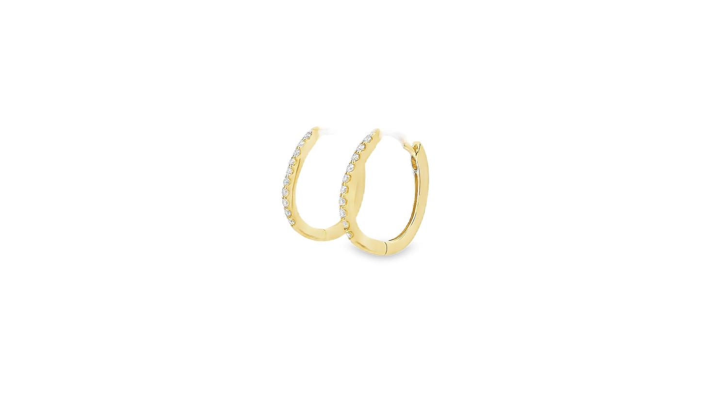 Elegant Hoop Earrings