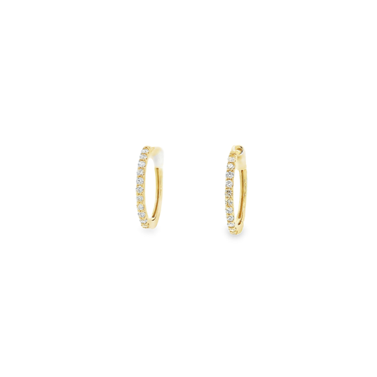 Elegant Gold Hoop Earrings