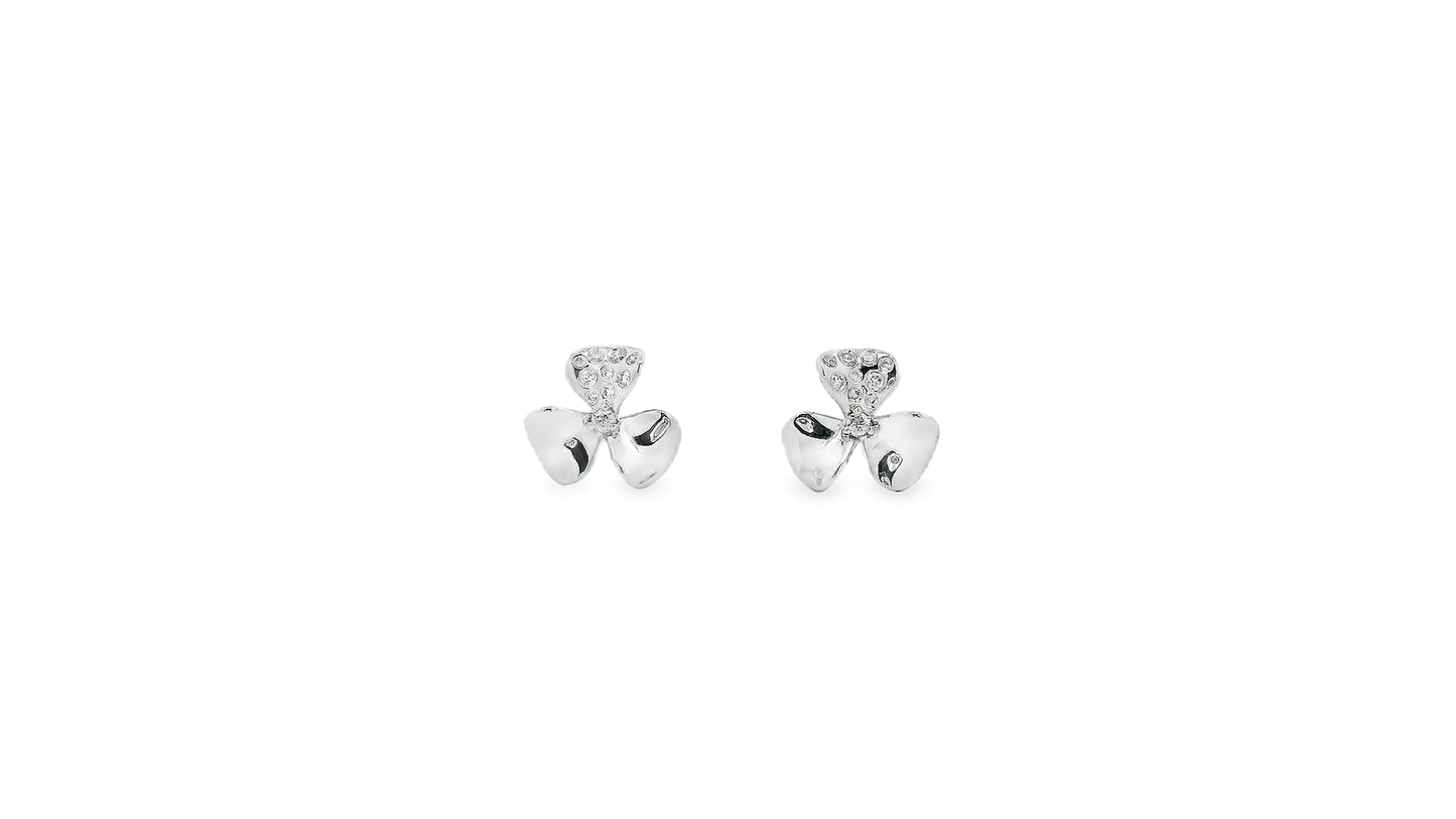Elegant Silver Earrings