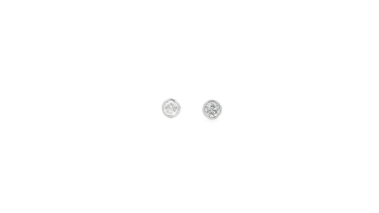 Elegant Stud Earrings